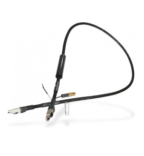 Synergistic Research Galileo SX Digital Ethernet